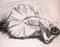 Art: Dancer at Rest (SOLD) by Artist Jennifer Love Artwork