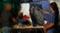 Art: Painters by Artist Deanne Flouton