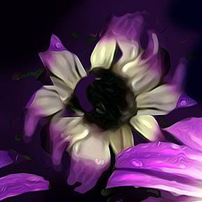 Detail Image for art Purple Petals with Bee