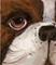 Art: I've got my EYE on you! by Artist Deborah Sprague