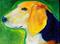 Art: Custom Pet portrait by Artist Deborah Sprague