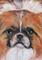 Art: Rescue Puppy by Artist Deborah Sprague
