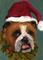 Art: Bernie the Christmas Elf by Artist Deborah Sprague