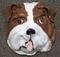 Art: This Bulls For you! by Artist Deborah Sprague