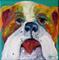 Art: Lil Bulldog BRIGHT and bold! by Artist Deborah Sprague