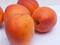 Art: Apricot models 12 by Artist Gabriele Maurus