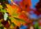 Art: A NOVEMBER DAY IN PRINCESS PARK by Artist Gabriele Maurus