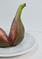 Art: FIG, FEIGE, FIGUE, FICO by Artist Gabriele Maurus