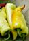 Art: HUNGARIAN PEPPERS by Artist Gabriele Maurus