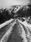 Art: The Road Most Travelled by Artist Kelli Ann Dubay