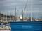 Art: Mr. Gull, Monterey Bay Harbor by Artist Dorothy Edwards