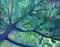 Art: New Leaves by Artist Elizabeth Fiedel