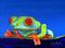 Art: Floating on my Lily Pad by Artist Ulrike 'Ricky' Martin