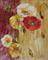 Art: Two Toned Poppies by Artist Delilah Smith