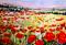 Art: Poppy Fields No. 2 by Artist Delilah Smith