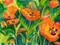 Art: Poppies No 3 by Artist Delilah Smith