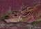 Art: Like This Mom? Pronghorn Baby SOLD by Artist Kim Loberg