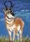 Art: Watching the Storm - SOLD by Artist Kim Loberg