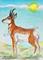 Art: Prairie Pronghorn SOLD by Artist Kim Loberg