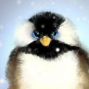 Detail Image for art Chickadee:Puffybuttons Detail Image for art Chickadee:Puffybuttons