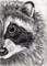 Art: Charcoal Raccoon by Artist Kim Loberg