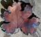 Art: Raku Leaf II by Artist Deborah Sprague