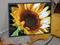 Art: Sunflower Art Card ACEO Yellow Flower by Artist Ann Murray