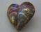 Art: Oyster Heart Pendant 2 by Artist Robin Cruz McGee