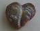 Art: Oyster Heart Pendant 3 by Artist Robin Cruz McGee