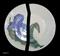 Art: IRIS SHARDS by Artist RUTH J JAMIESON