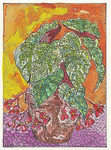 Art: Angel Wing Begonia by Artist Theodora Demetriades 