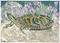 Art: Turtle who Stays Hidden When Approached by an Enemy by Artist Theodora Demetriades 