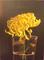 Art: Yellow Mum by Artist Lauren Cole Abrams