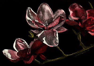 Art: Branch of Blossoms by Artist Sandra Willard