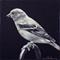 Art: Bird - Thumbnail by Artist Sandra Willard