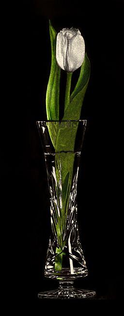 Art: Faith - Tulip in Rogaska series by Artist Sandra Willard
