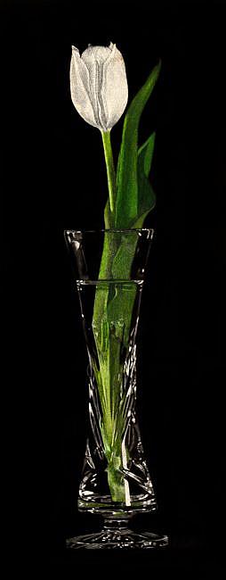 Art: Patience - Tulip in Rogaska series by Artist Sandra Willard