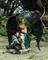 Art: The Raven #4 - Statue for Hamilton Collection  by Artist Jasmine Ann Becket-Griffith