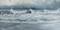 Art: Approaching Storm by Artist Carol Thompson