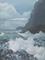 Art: Midwinter Day by Artist Carol Thompson