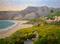 Art: Zuma Beach Malibu Pt. Dume Coreopsis Seascape oil painting by Artist Karen Winters