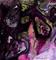 Art: Shells #34 by Artist Kathy Morton Stanion