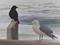 Art: Mutual Respect by Artist Carol Thompson