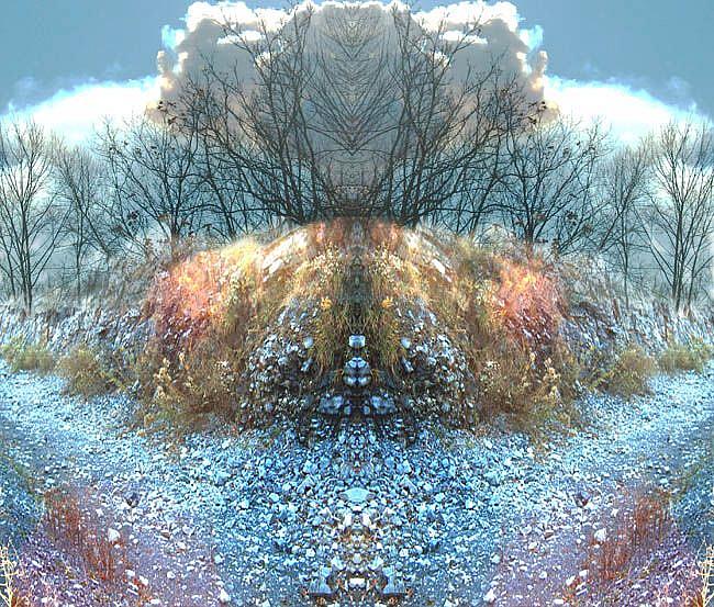 Art: Avarice by Artist Carolyn Schiffhouer
