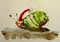 Art: Santa Snail by Artist Delilah Smith