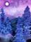 Art: Moonlit Forest by Artist Carmen Medlin