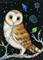Art: Galactic Owl ACEO by Artist Carmen Medlin