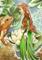 Art: Emerald's One True Love ACEO by Artist Carmen Medlin
