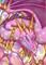 Art: Geodeina - ACEO by Artist Carmen Medlin