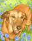 Art: Old Maggie by Artist Carmen Medlin